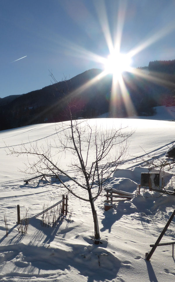Ferienwohnung Sonnenhof - Winterlandschaft