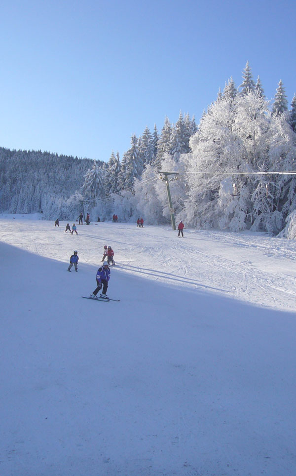Ferienwohnung Bad Kohlgrub - Skifahren